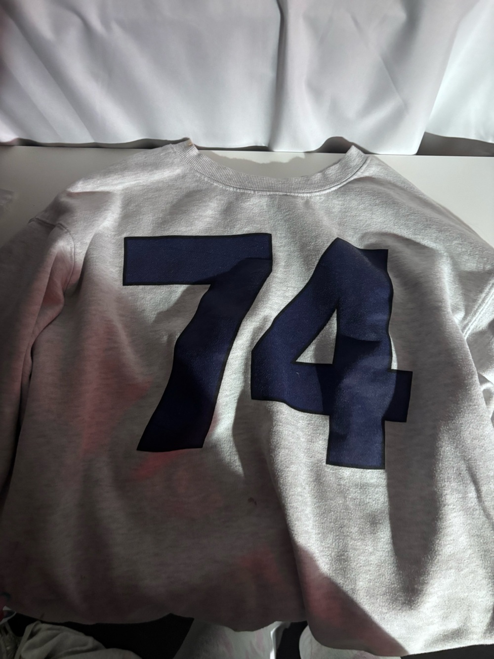 Urban Outfitters Light Gray Sweatshirt with Navy 74 Graphic
